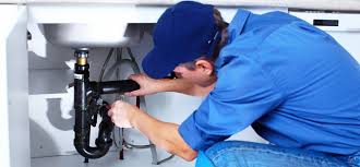 Best Commercial Plumbing Services  in Shelbyville, IN